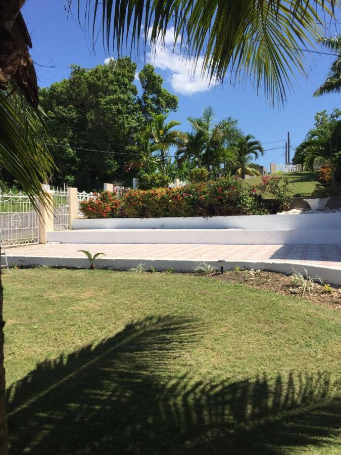 Goldenview Guesthouse Ocho Rios Bagian luar foto